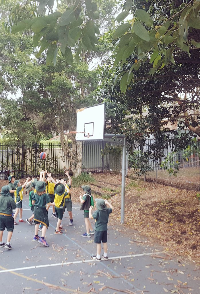 Sport_CPS's tweet photo. Basketball game after all that skill practise! @3_4Echidnas https://t.co/NmsTROj2ud