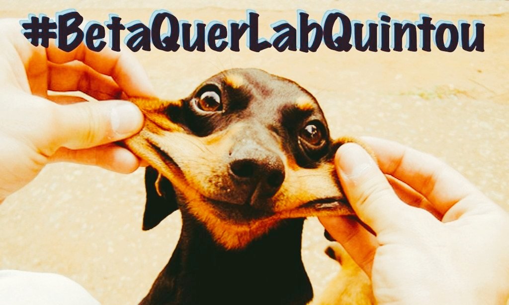 fael_luis33's tweet photo. Booommm diiiaaaaaa Betas!!!
#BetaQuerLab #BetaQuerLabQuintou https://t.co/2XIjFC5DtB