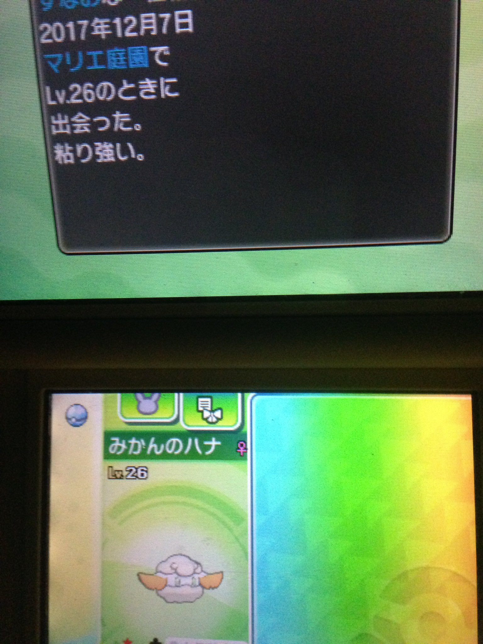 ポケ歴26年の緑茶 去年 今日 こんな運いらないから まともに国際孵化成功してよ W モンメン 色違い ポケモン ポケモンsm ポケモンusum T Co Q5pcb9uxsu Twitter