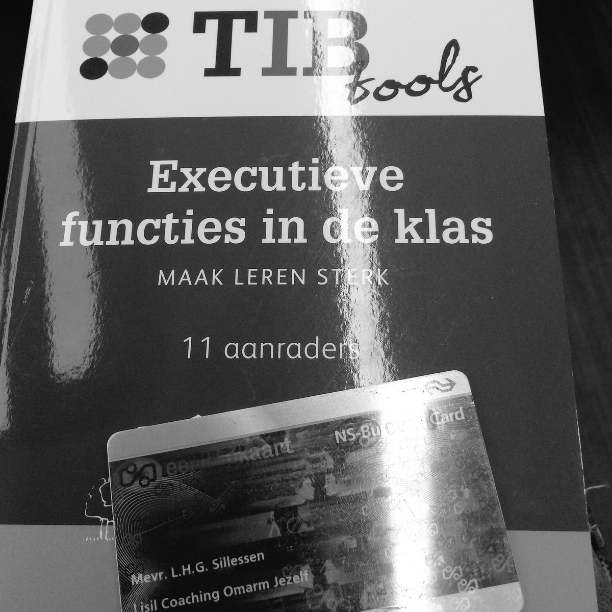 LSillessen's tweet photo. Onderweg naar Lyanne Vos van Happy Brand. Samen mijn bedrijf en branding doornemen. Nu lezen over de executieve functies. #treinreis #leerkracht #ondernemen #eigenbaas https://t.co/QyqrMjkDbU
