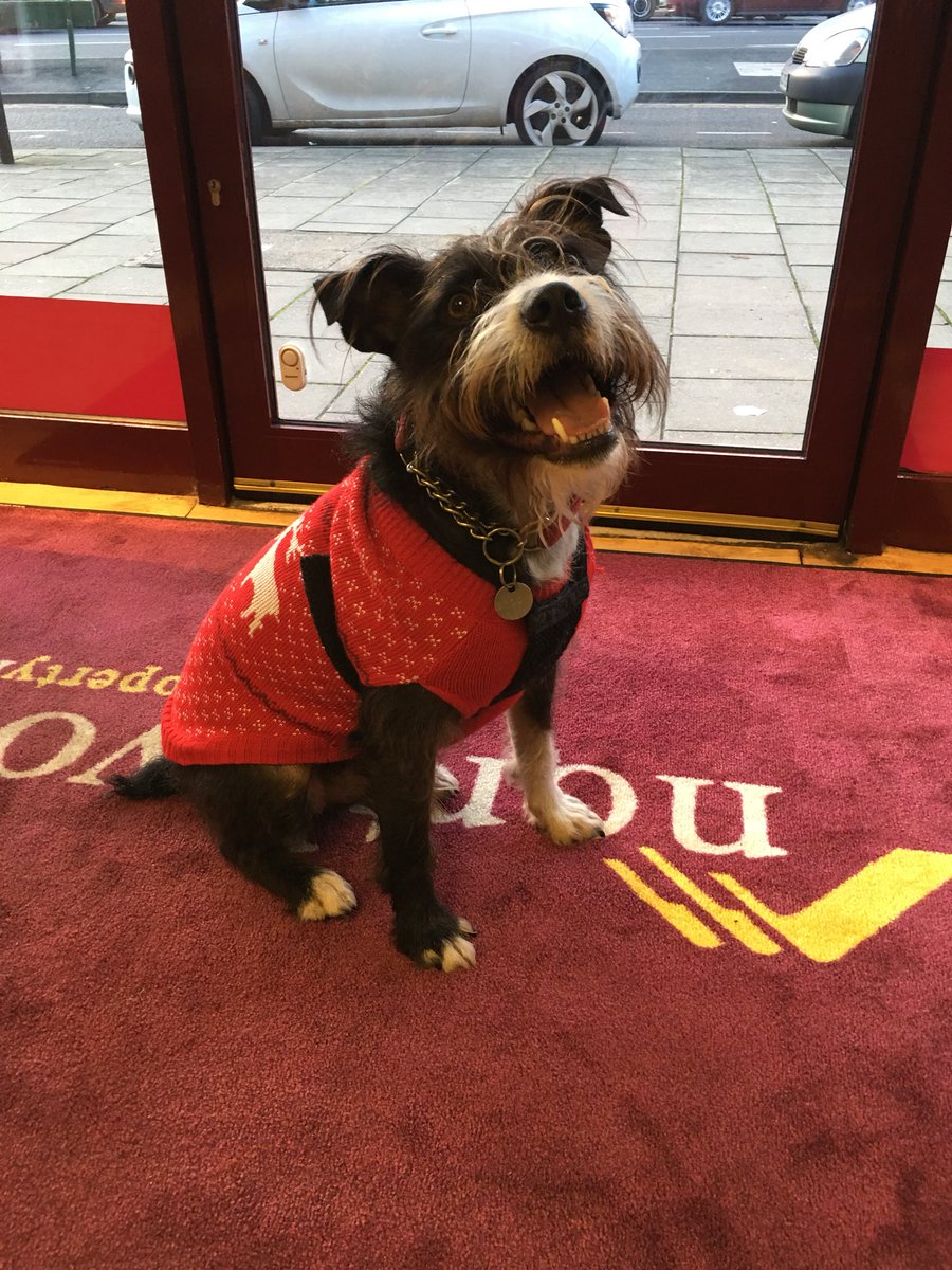 instagram.com/p/BcZiFTPFzHO/ #PPJ12DAYSOFCHRISTMAS <a href="/PetsPyjamas/">PetsPyjamas.com</a>