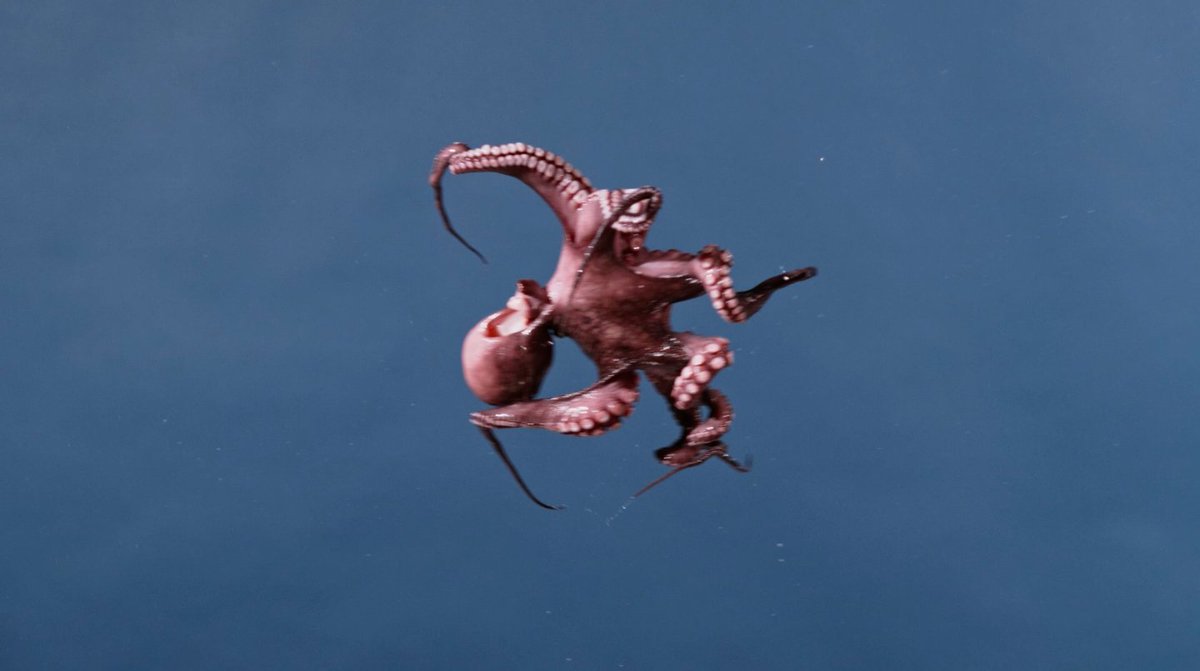 Our documentary Ten Stories About Food Waste for Electrolux is out now! Watch the full film here: vimeo.com/245592777