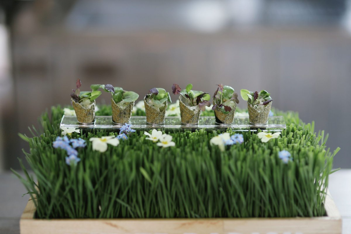 SpaceandRock's tweet photo. Want to know the secret to getting your #weddingfood right for you? Learn more over on the journal.  Featuring S&amp;R recommended suppliers @KerrasCatering and @WhiteRadishFood https://t.co/EAXvVJkpX5  #spaceandrock https://t.co/hVJi60sCjE