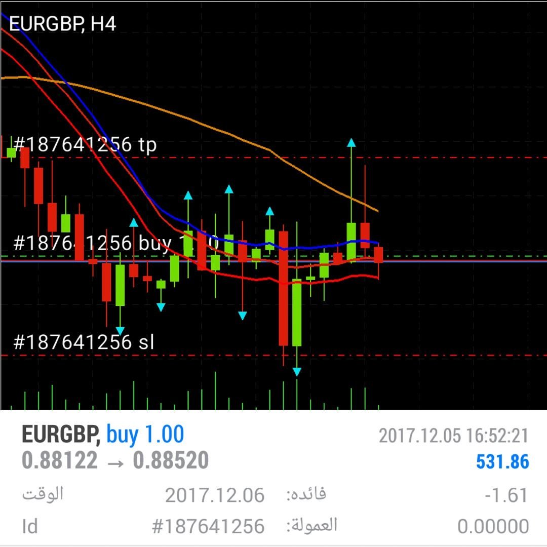 The Arab Wolf Forex On Twitter Forexsignals Forextrade - 
