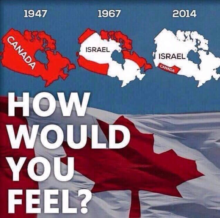 alblui_'s tweet photo. How would you feel 💔#القدس_عاصمه_فلسطين_الابديه https://t.co/hbxxwyo9tt