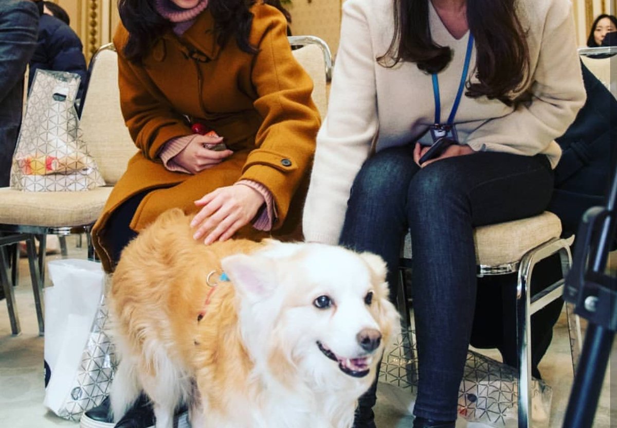 청와대 직원들의 공부모임인 상춘포럼에 초대된 강형욱과 다올이. 다올이는 청와대에 초대된 최초의 멍뭉이라고ㅎㅎ

instagram.com/p/BcZTzI6n4Iw/