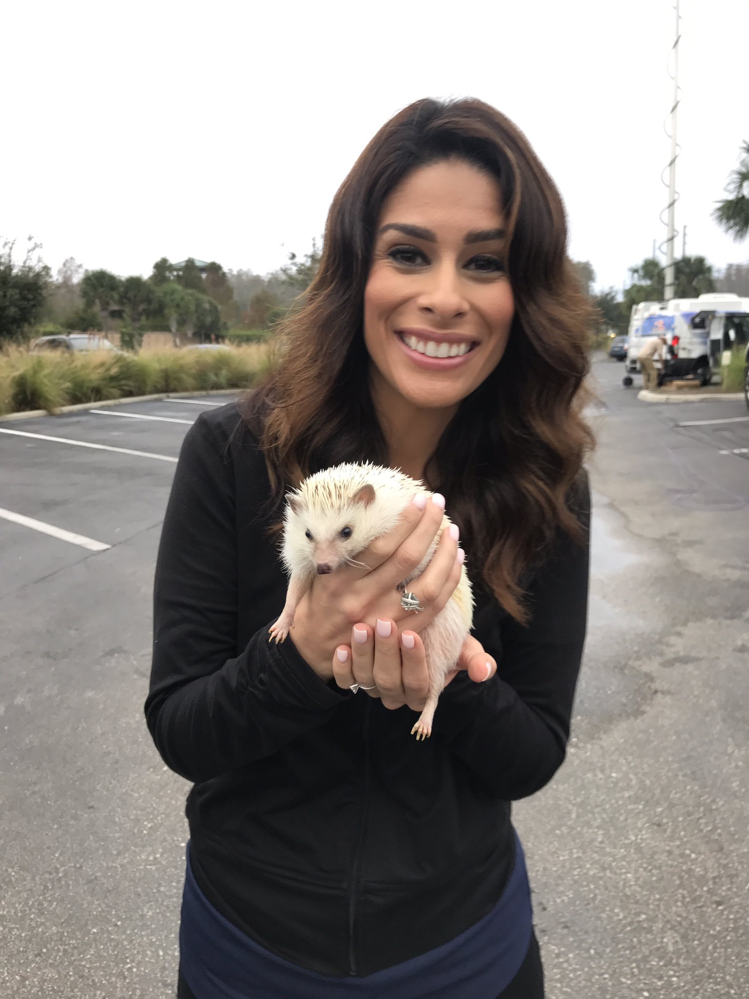 Michelle Imperato on Twitter: "Omg a hedgehog! You can take a picture