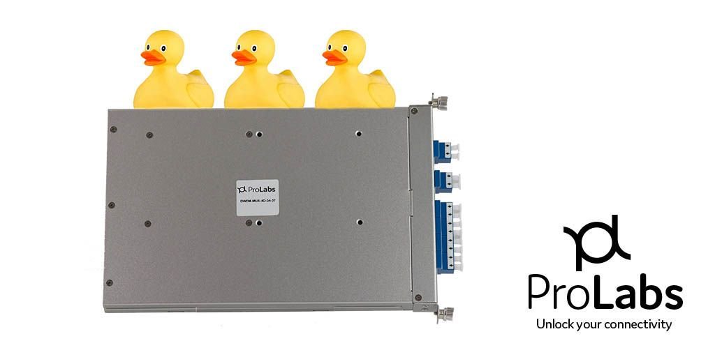 ProLabs_Global's tweet image. Unlock your Festivity
Day 3 and our Elf has sent the 3rd image.  What is this?  
Retweet the answer with #ProLabsgavetome by the end of day, to enter our daily Christmas goodie draw.  Winner will be announced tomorrow with another image to guess.
#12daysofgiving  #ProLabsgavetome