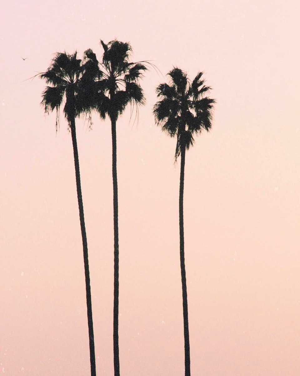 ʏᴏᴜ ᴅᴏɴ'ᴛ ᴊᴜᴅɢᴇ ᴍᴇ.... ᴄᴀᴜsᴇ ɪғ ʏᴏᴜ ᴅɪᴅ, ʙᴀʙʏ, ɪ ᴡᴏᴜʟᴅ ᴊᴜᴅɢᴇ ʏᴏᴜ