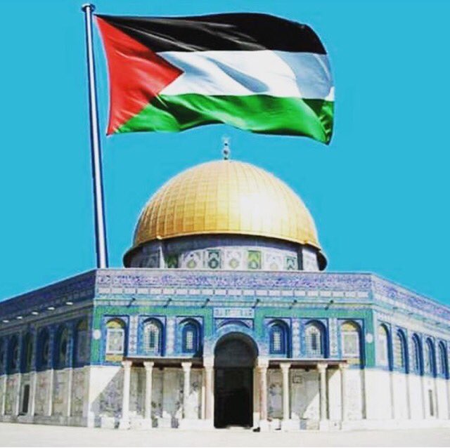 BayariMahmoud's tweet photo. https://t.co/wLbLPJ9ek1