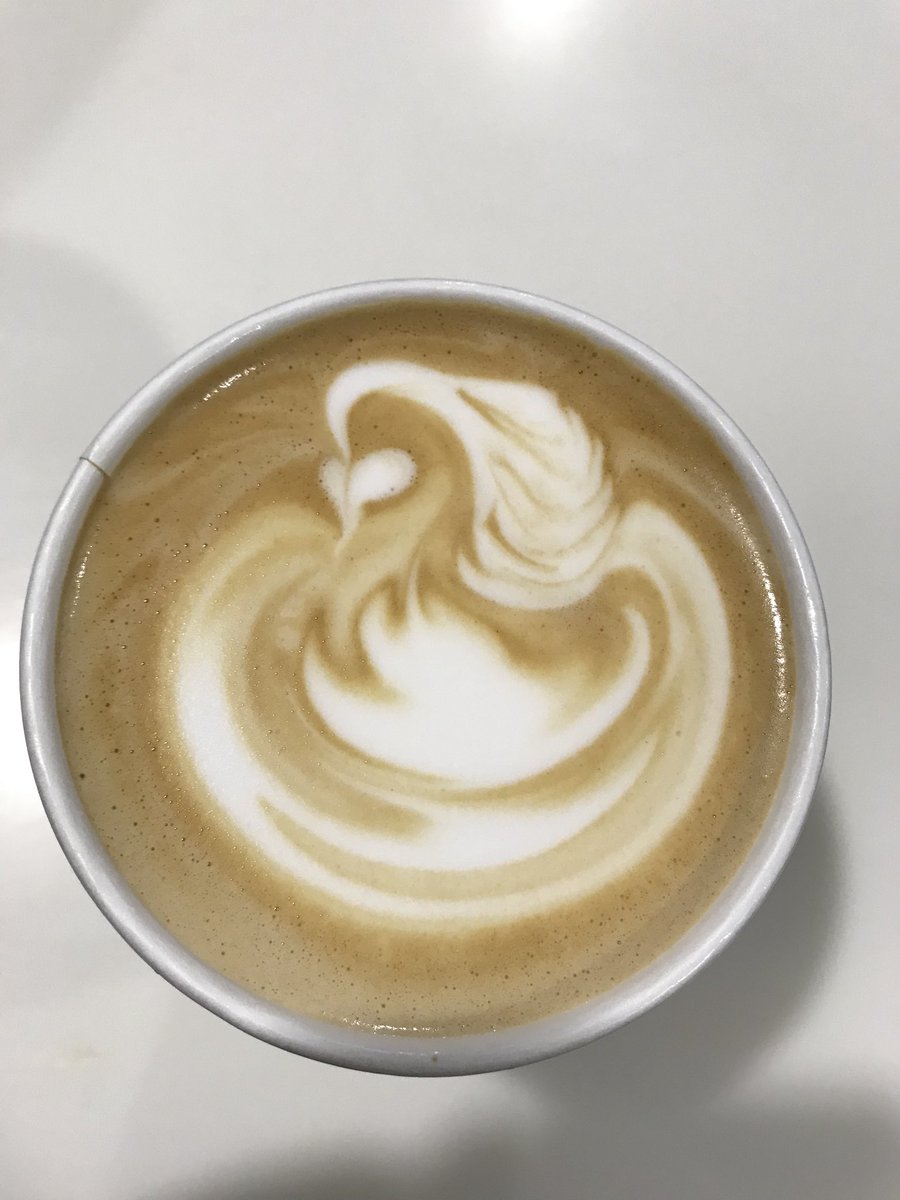 GatherLeedsDock's tweet photo. Our @nickywsmith swan is improving 😍 https://t.co/tz663wvzv8
