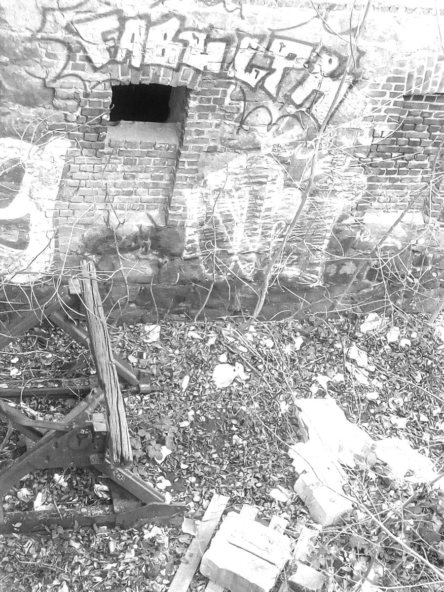 cesdenne (@cesdenne) on Twitter photo 