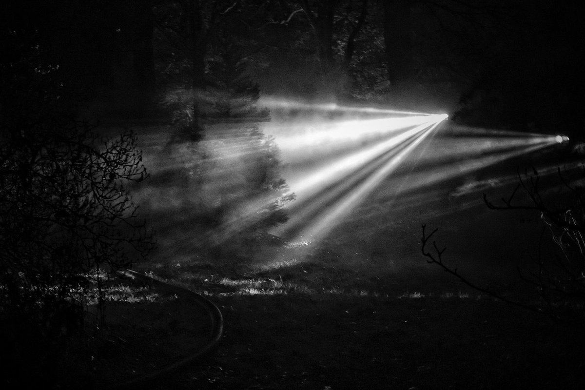 lifethroughmono's tweet photo. Spotlights through the trees
#nightphotography #blackandwhitephotography #lightthroughdark https://t.co/zHPQFP5K2t
