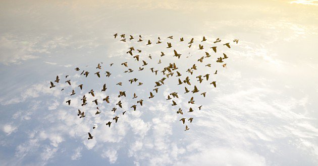 IBMSecurity's tweet image. Just in - IBM Named a &quot;Leader&quot; in the 2017 Gartner Magic Quadrant for #SIEM. Get the report now: ibm.co/2BRXvrK