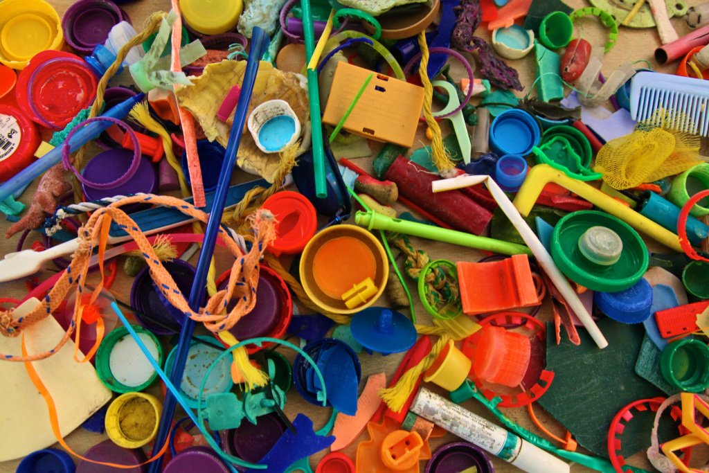 From an Expert Manager of Things: Disrupt My Garbage Bin, Please! #biomimicry… thinkbiomimicry.com/2017/12/07/fro…