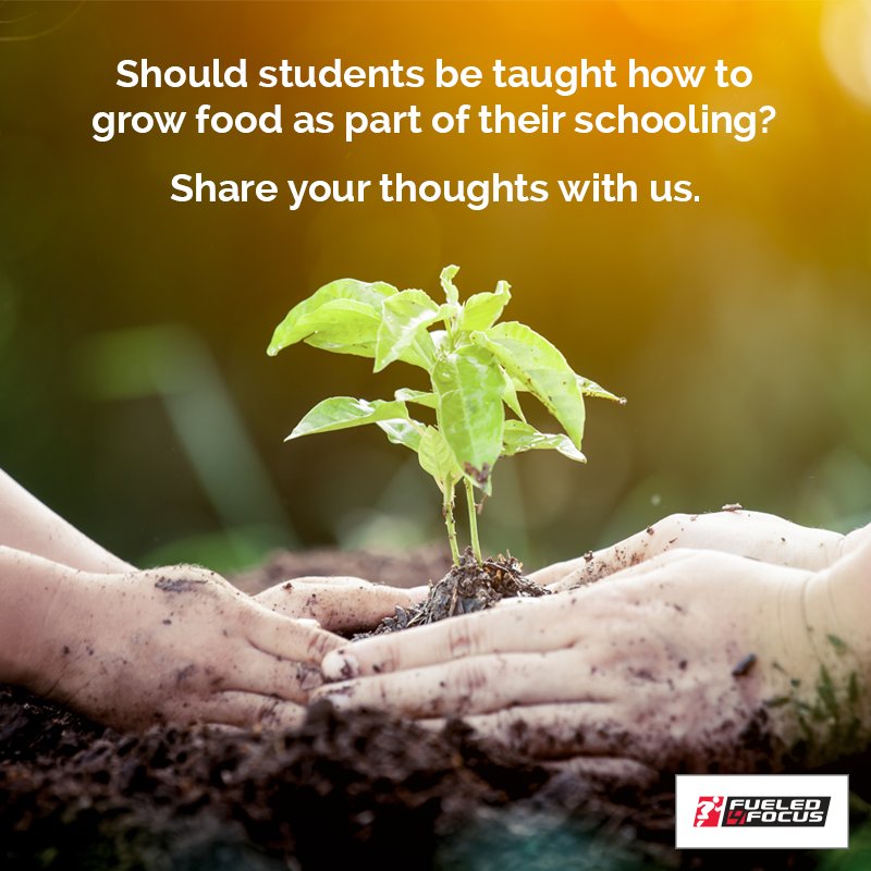 Fueled4Focus's tweet photo. @SchoolLunch @georgiagrown @georgiadeptofed @breakfastclsrm @ga_sna
Share your valuable feedback with us.
#rcns #health #food #nutrition #thursdaythoughts #fueled4focus #schoolmealsarehealthymeals #schoollunch #schoolmealsrock #foodforthought #education https://t.co/uva7ulOOWm
