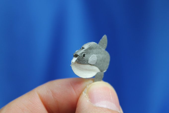 マンボウは1種類ではない、3種類だった…「世界最重量の硬骨魚類」ウシマンボウの学名が確定!
