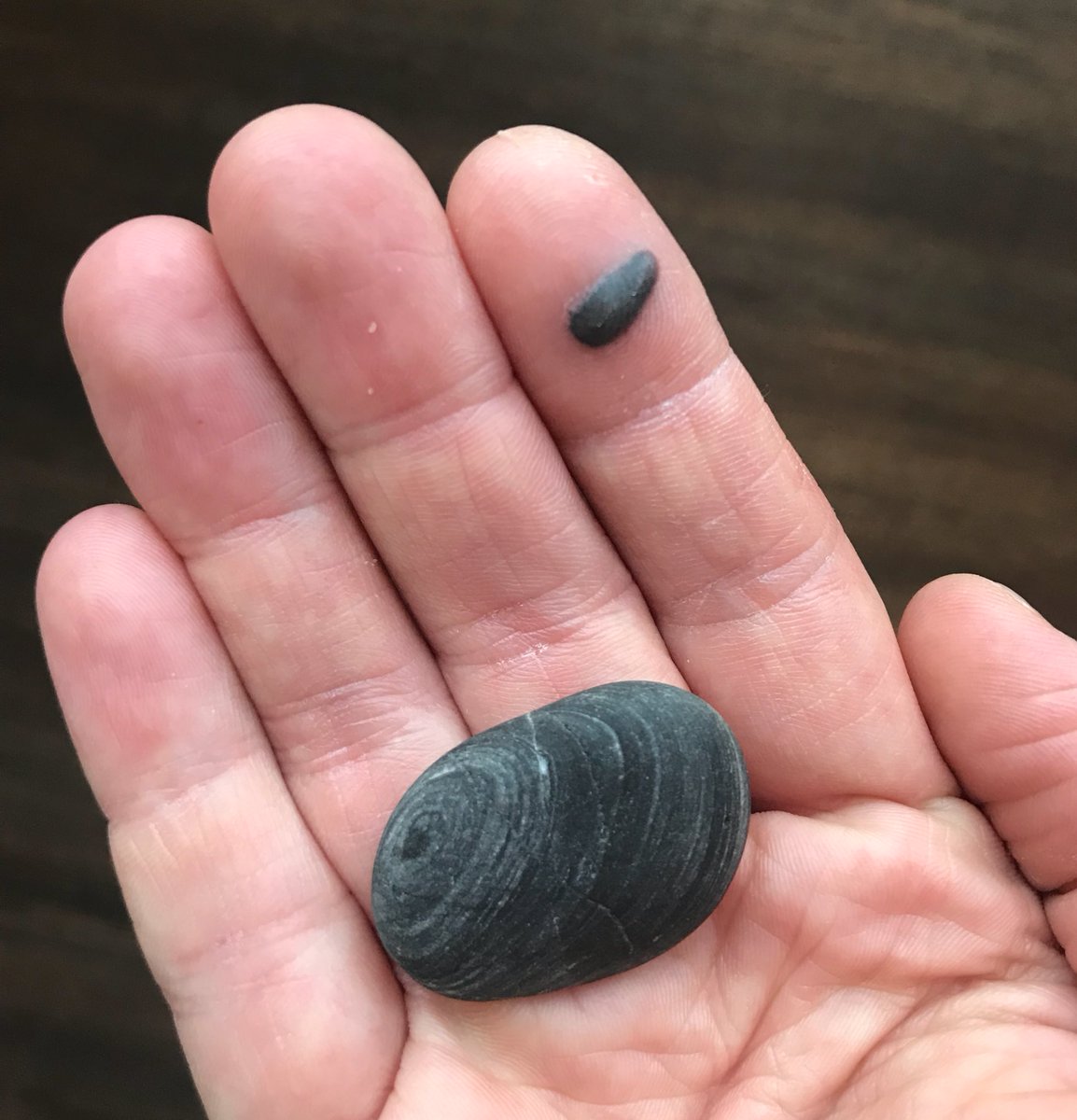 Zoe Laughlin On Twitter Blood Blister Talking To Stone Stone Zoe Laughlin On Twitter Blood Blister Talking To Stone Stone