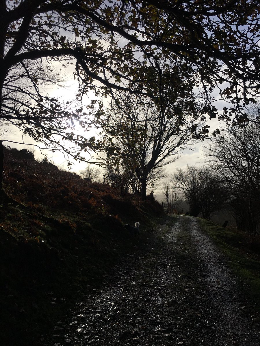 MO02MEL's tweet photo. It was so beautiful out running this morning, that my tempo run turned into a βstop and take photosβ run. So I added in an extra mile... #makeupforit #muddyrun #didntfallover #foundanewtrail https://t.co/6SNNSxNR5t