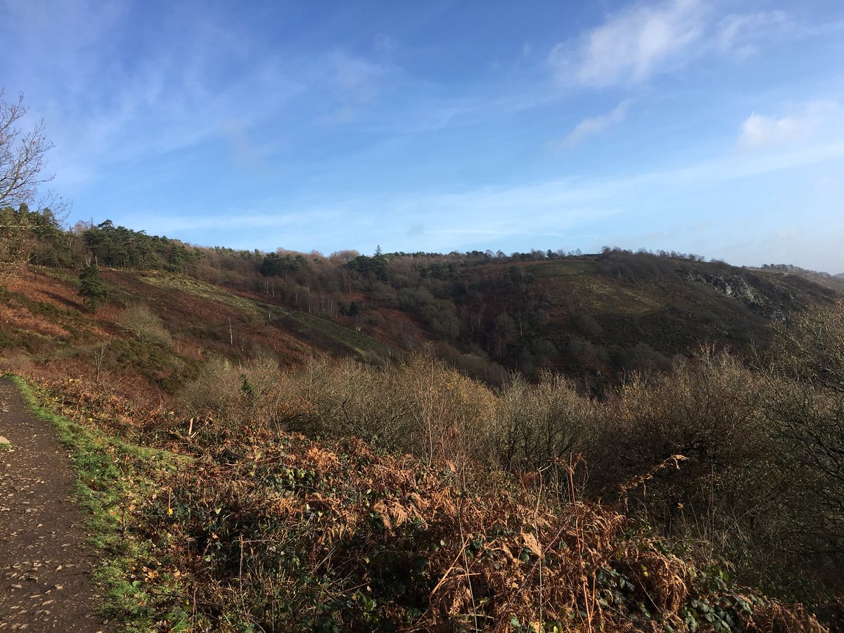 MO02MEL's tweet photo. It was so beautiful out running this morning, that my tempo run turned into a βstop and take photosβ run. So I added in an extra mile... #makeupforit #muddyrun #didntfallover #foundanewtrail https://t.co/6SNNSxNR5t