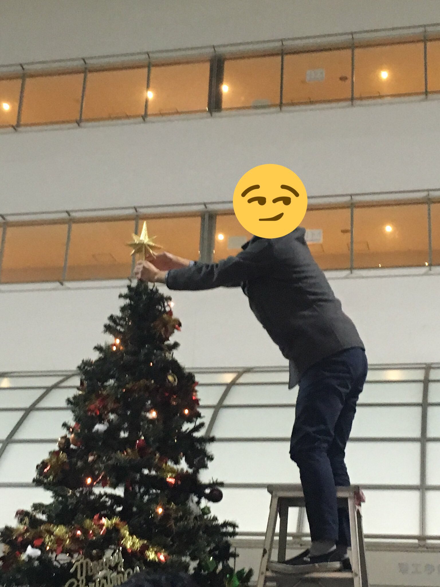 明治大学花卉園芸部 本日は中央校舎にクリスマスツリーの設置を行いました 高いところは脚立を使って設置したり みんなで細かい装飾の位置を決めたりと楽しく設置しました 今後は学内装飾のイルミネーションも企画してますのでご期待ください 明治大学花卉園芸部 本日は中央校舎にクリスマスツリーの設置を行いました 高いところは脚立を使って設置したり みんなで細かい装飾の位置を決めたりと楽しく設置しました 今後は学内装飾のイルミネーションも企画してますのでご期待ください