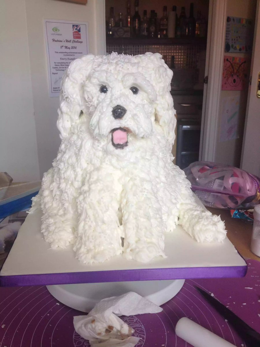 bichon frise birthday cake