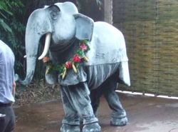 ParkLife55's tweet photo. Probably the strangest #Disney walk around character! I'm not sure where this photo was taken, my guess would be #DisneylandParis as #ColonelHathi🐘 has a restaurant there! #JungleBook #Disneyland https://t.co/AeOczlOwX3