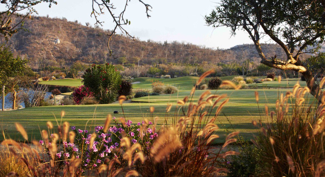 bajasmart's tweet photo. Prime property 🚜 for spec home in Oasis Palmilla🌴
Check this lot in one of the most valuable communities in Los Cabos.
#Oasis #Palmilla #RealEstate #Cabo #Beach #LuxuryCommunity
https://t.co/m26ZnrUinC https://t.co/YNueDZ96Cz