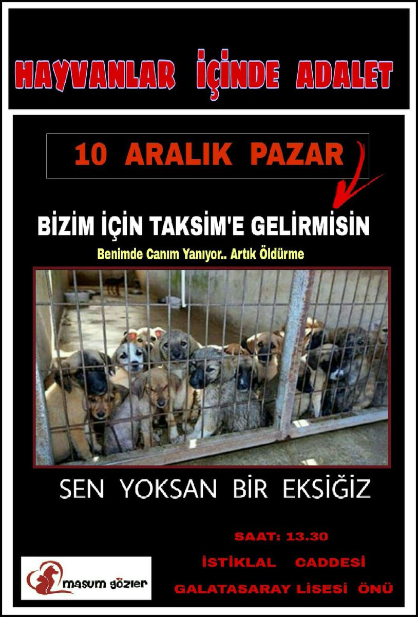 masum_gozler's tweet photo. BU VEBAL İNSANLIĞIN...!!!
BU VEBALİN ALTINDA KALMAMAK... BU KATLİAMA.. BU GİDİŞE.. DUR DEMEK İÇİN  SADECE BİR GÜNÜNÜZÜ AYIRACAKSINIZ.. ONLARIN SESSİZ ÇIĞLIKLARI BİZİM SESİMİZLE DİLE GELSİN... HAYDİ 10 ARALIK PAZAR GÜNÜ TAKSİMDE BULUŞUYORUZ https://t.co/wxx0Wp8gFR