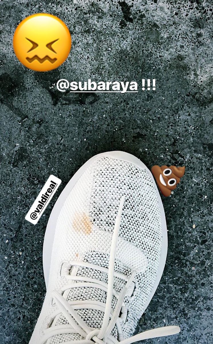 subarayamx's tweet photo. Shits happen 😛 Mantente Fresh #SubarayaPower ✨👟🔥 https://t.co/3daabFPMpK