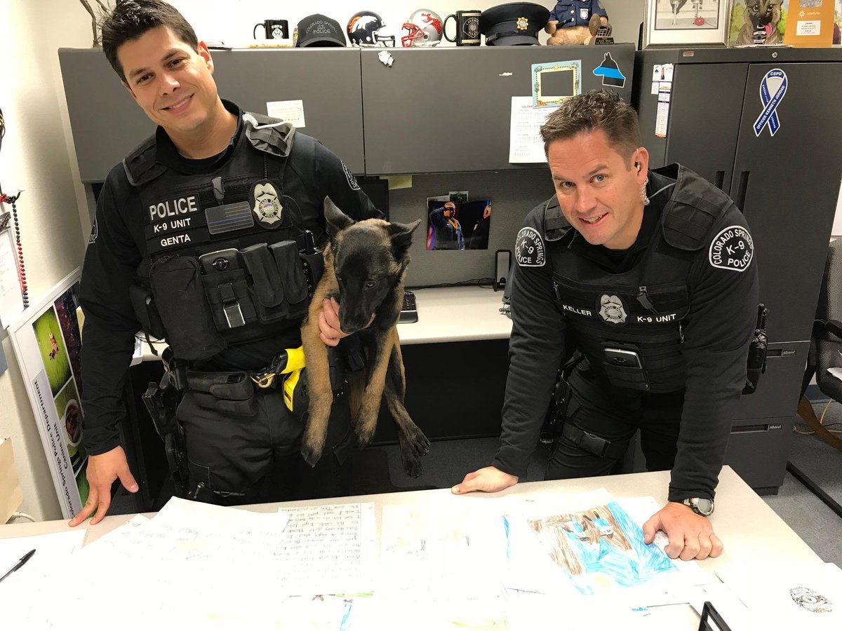 CSPDPIO's tweet photo. K-9 Officers reading thank you letters from students at Pinion Valley Elementary School. The K-9 unit made an appearance at the school a few weeks ago. #CSPD #K9 #LettersOfAppreciation #OlympicCityUSA #ColoradoSprings https://t.co/rbd97gAFgf