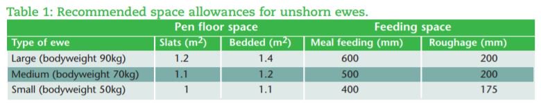 teagasc's tweet photo. It is important to allow sufficient space for ewes indoors especially when it comes to meal feeding. All ewes should be able to eat at the one time. See table for recommended space allowances https://t.co/6OW4smLNJM https://t.co/cDEi6d7pFg