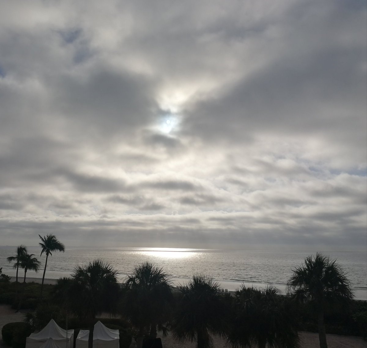 LouLou033's tweet photo. Good morning from Sanibel Island, FL! #ARF17 #ARF2017 https://t.co/wjQ1g5JzJX