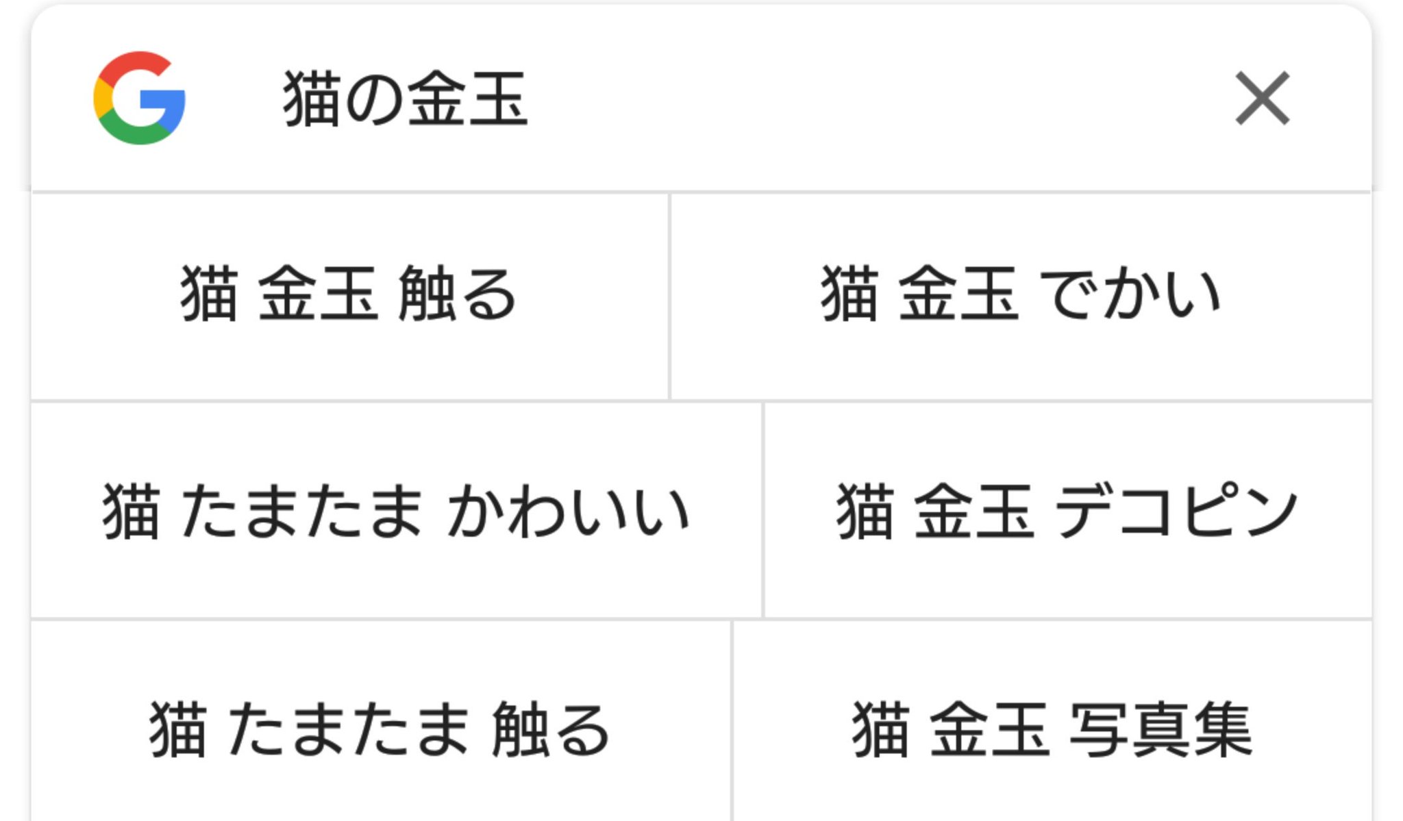 doibauten on X: 猫の金玉画像見てホッコリしようと思って検索かけたら「猫 金玉 デコピン」って出てきた すな！  t.cooa1igALEtp  X