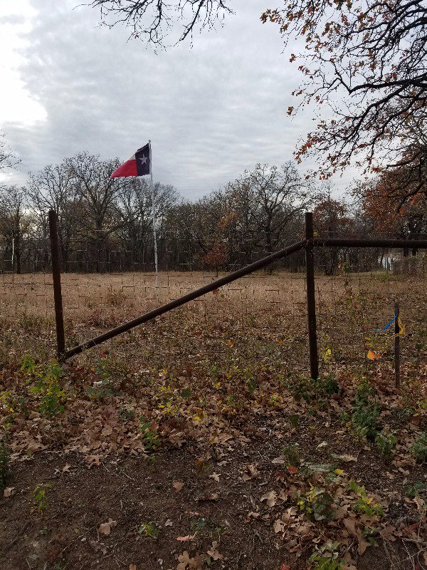 KimbleCoTeam's tweet image. Check out this AWESOME land. $109k that is AMAMZING DEAL:) #WHATADEAL #realtordeal #freetobuild

matrix.ntreis.net/matrix/shared/…