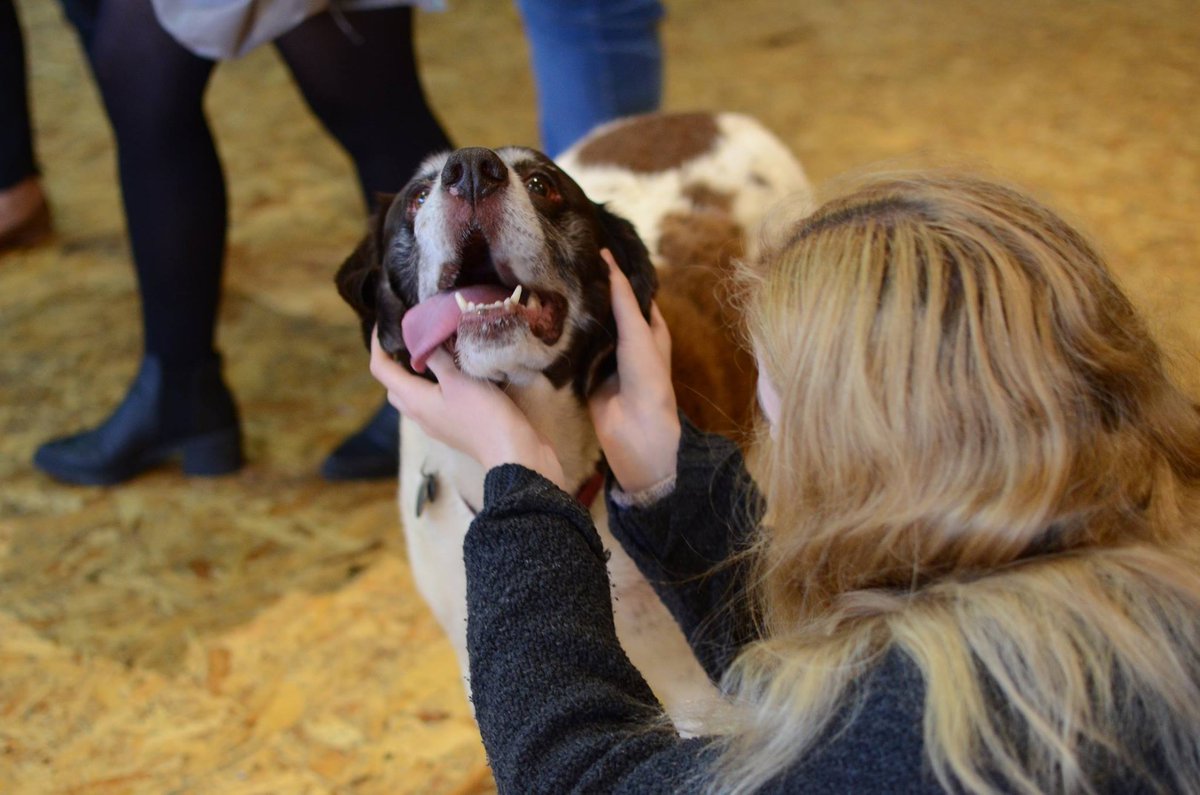 Feeling the assignment stress? Why not pop along to our puppy party next Tuesday for some doggo cuddles and de-stress facebook.com/events/5060402…