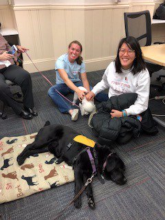 OSAadvisor's tweet photo. Therapy dog session https://t.co/aboaYUhuw8
