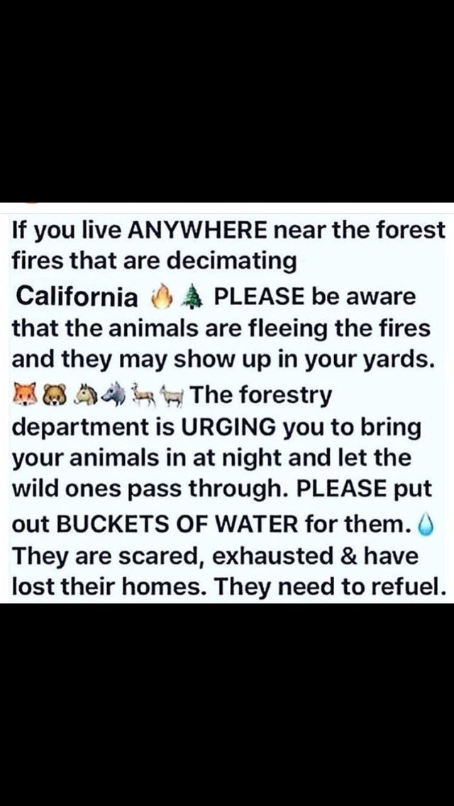 MrDelizia's tweet photo. From @IamCrystalMarie on IG. https://t.co/zMMMdHXaM2