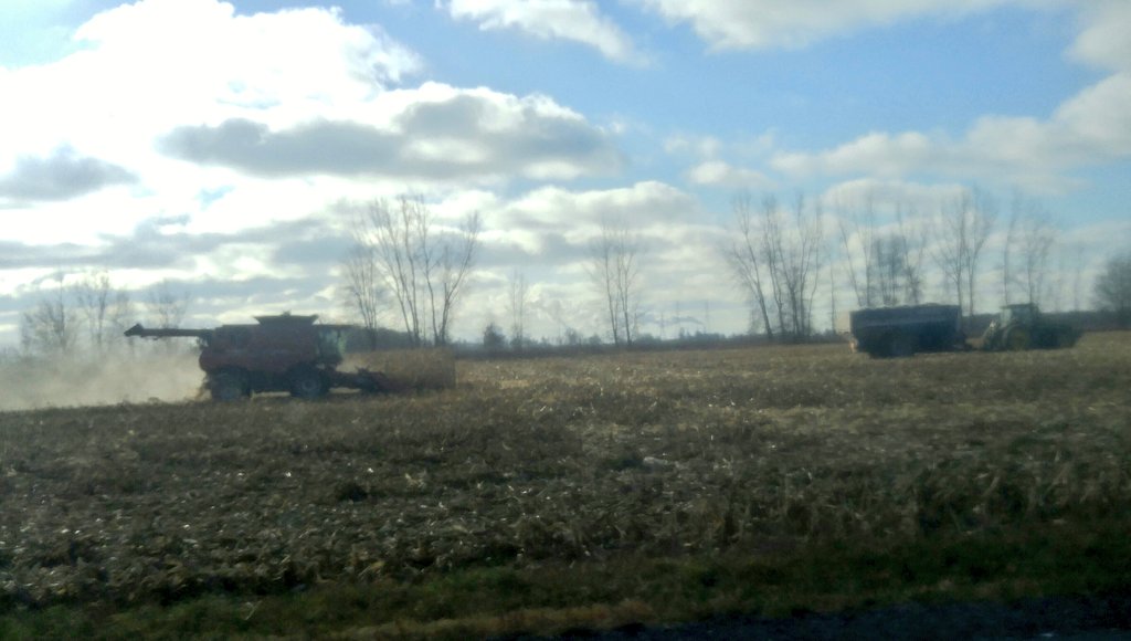 TheWeatherDad's tweet photo. Nothing like waiting until 2 days before a lake-effect snow event to harvest your corn. lol #procrastinatingfarmers #seedcorn #feedcorn #veryverydrycorn https://t.co/bpn8pmeCQs