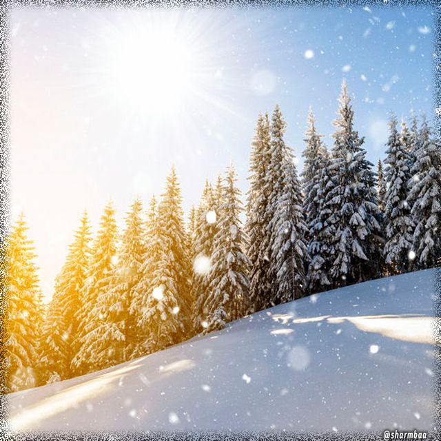 "The future lies before you, like a field of fallen snow; be aware of how you tread on it, for every step will show."