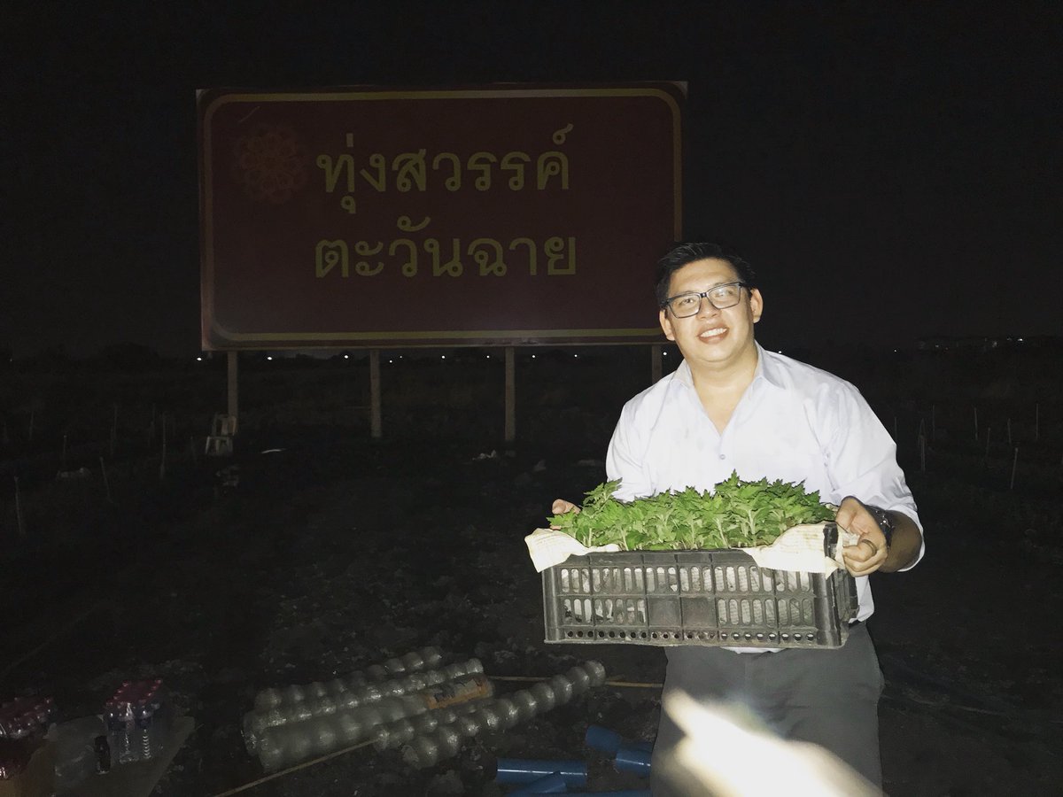 artty072's tweet photo. ค่ำนี้ เป็นอีกครั้งที่ได้ปลื้มใจจากการร่วมบุญปลูกต้นเบญทรัพย์ ณ ทุ่งสวรรค์ ตะวันฉาย ต.คลองสี่ อ.คลองหลวง จ.ปทุมธานี นำบุญมาฝากทุกๆท่านนะครับ https://t.co/CjOHjqPu9A