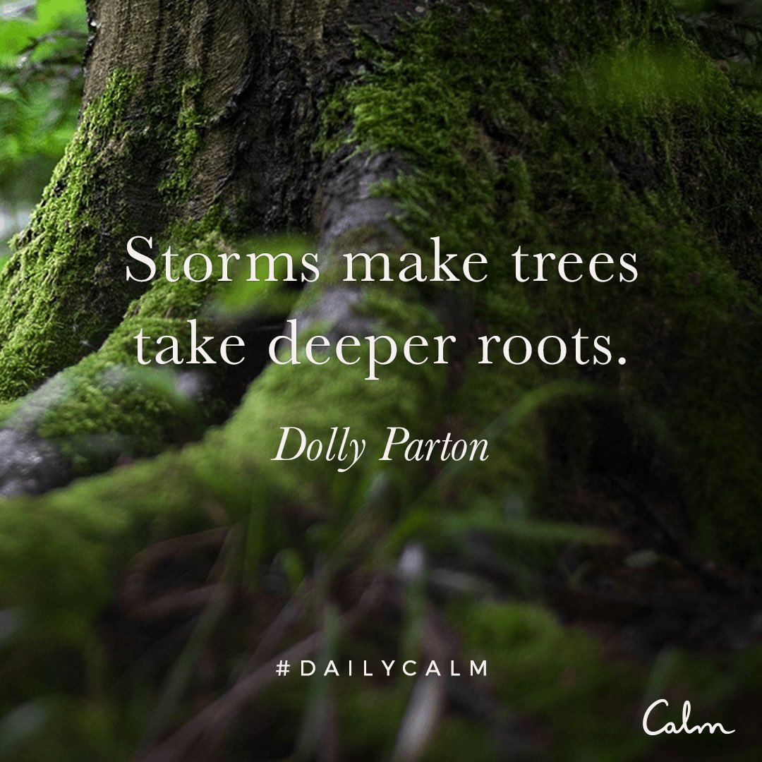 Myelin_Project's tweet photo. #DailyCalm @calm https://t.co/3MU6fOFS0k https://t.co/bqznCwSR0U