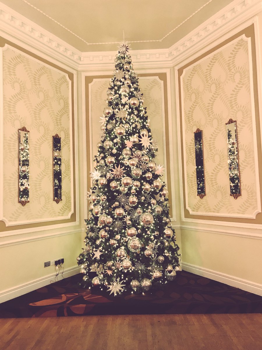 afterdarkmurder's tweet photo. Well, I think we might have a winner of #treewars - @RingwoodHall - look at the size of this one! https://t.co/1FZXapNETJ
