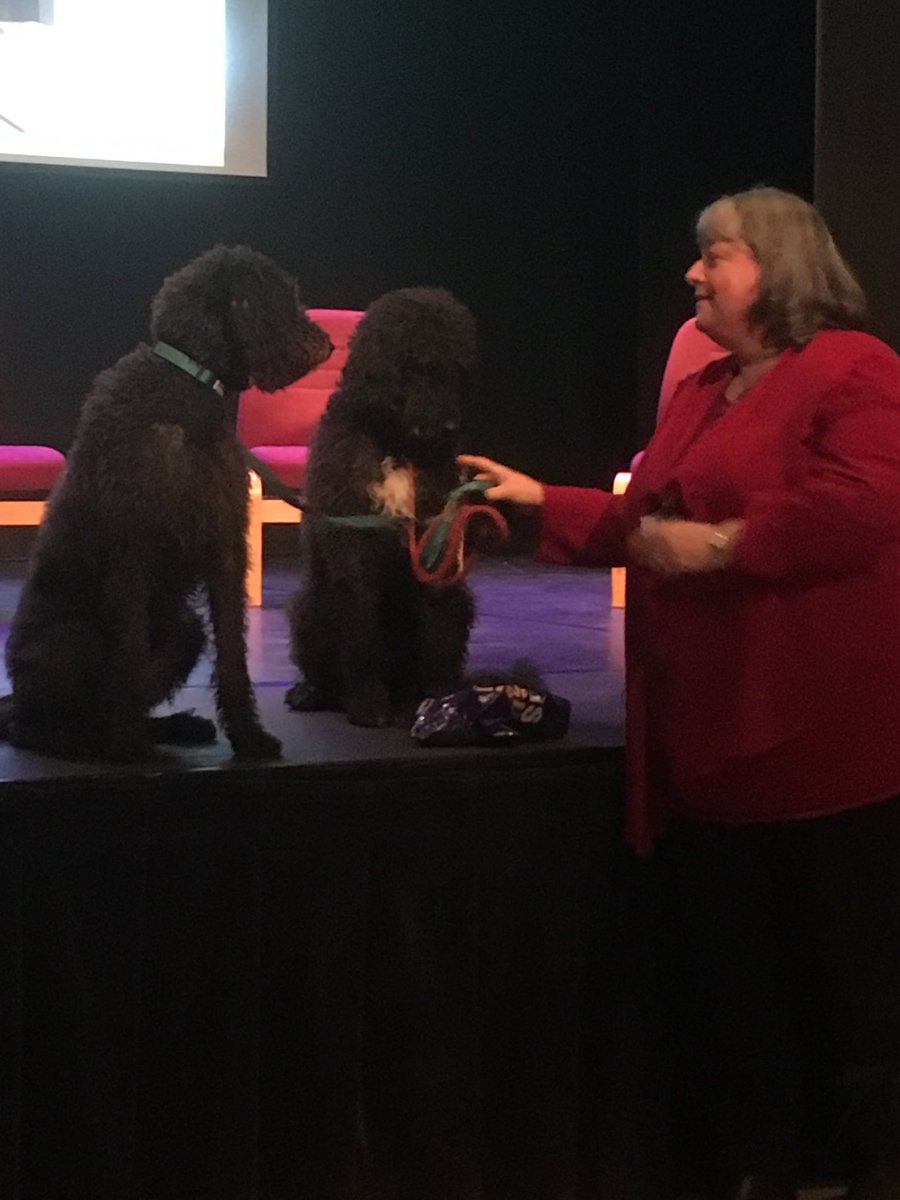 andyjobrowne's tweet photo. Dogs and Headteacher on stage at #vattm The power of dogs in schools. https://t.co/ZbcAKm0zI0