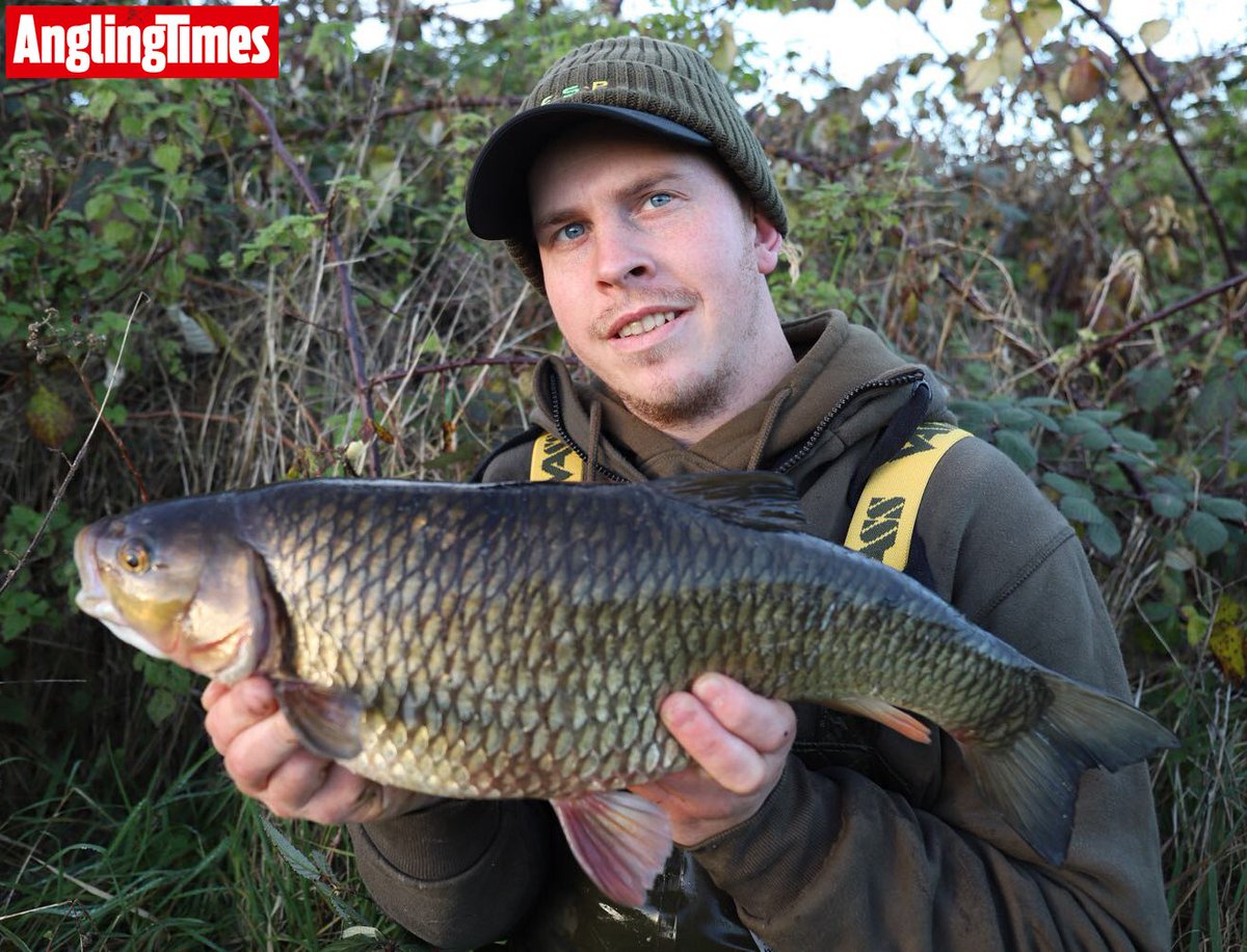 angling_times's tweet photo. Stickfloat + bread = big #chub... 6lb 6oz from the Dorset Stour #classicangling #SaturdayMotivation #monsterfish #riverfishing #angling #fishinglife #fishing https://t.co/C5eogNThSx
