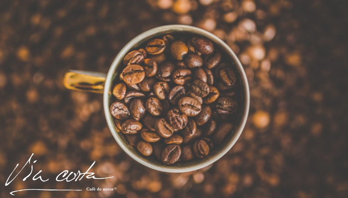 ViaCortaCafe's tweet photo. ¿Sabías que los granos de café no son granos, en realidad son semillas de fruta? #ViaCorta #FelizJueves https://t.co/HhLRYzADwj