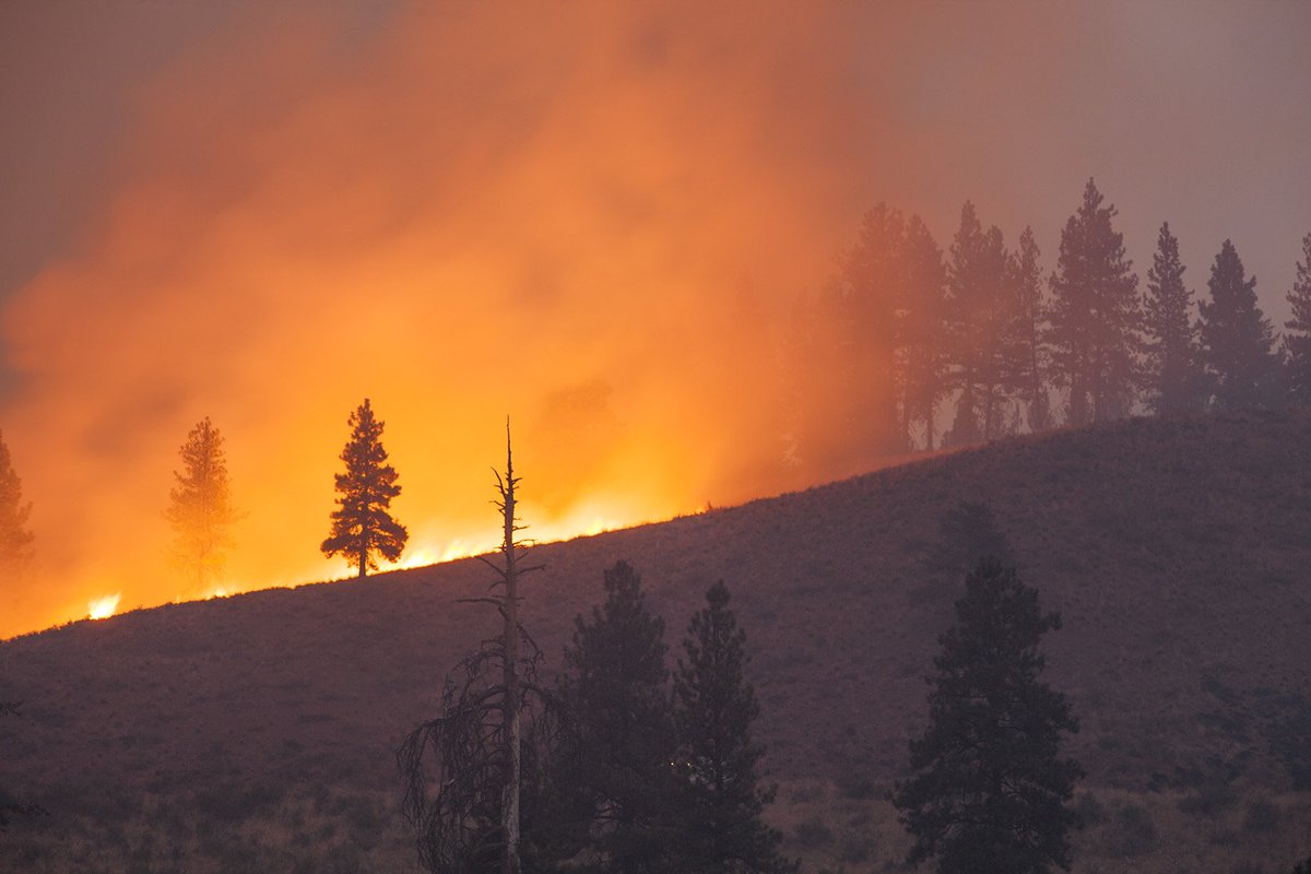 Conserve_WA's tweet image. Thanks Congresswoman @HerreraBeutler for being an early co-sponsor of a #FireFix that would keep forests and communities safer &amp;amp; healthier. Let’s fund wildfire response like other natural disasters.  Congress, please act to pass it now!