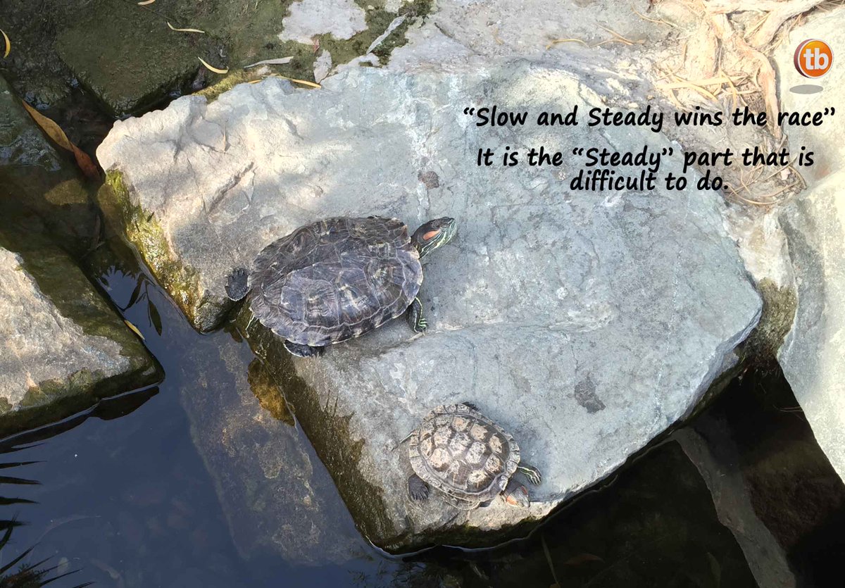 Trackerbuttons tweet media