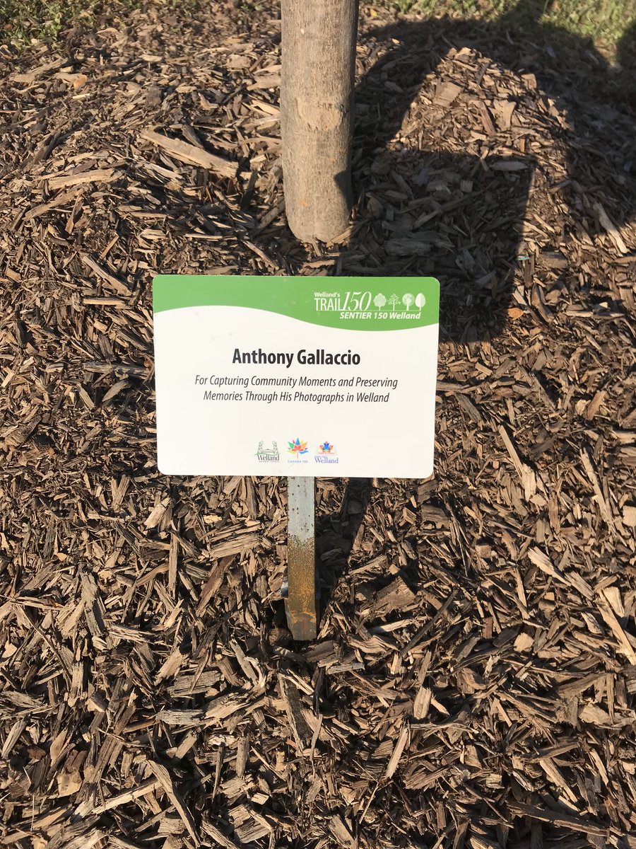 2017welland's tweet photo. Thank you @A_Gallaccio for everything you have done for our committee and community!  Welcome to #Trail150 https://t.co/23fPUmyR1o