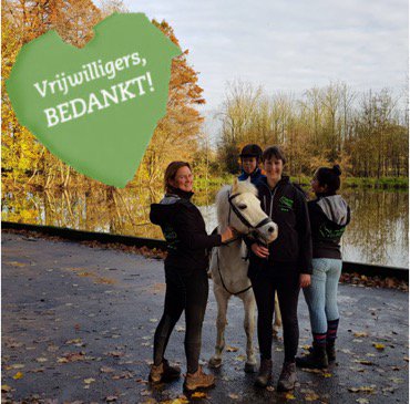 werkenaepaard's tweet photo. We kunnen niet vaak genoeg zeggen hoe blij wij zijn met onze bevlogen vrijwilligers. Zonder hen geen #WerkenalseenPaard. Op deze speciale dag willen we ze nog eens extra bedanken! #Vrijwilligersdag #Vrijwilligersbedankt #zijmakenhetverschil https://t.co/e512ryWtaG